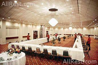 Sheraton Montazah Hotel 8